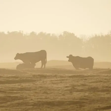 Coastal Bries Tatil Evi *