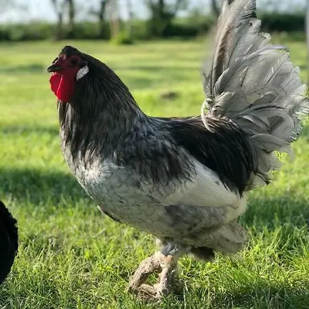 Tatil Evi Coastal Bries