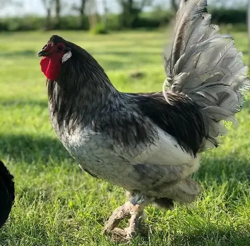 Tatil Evi Coastal Bries