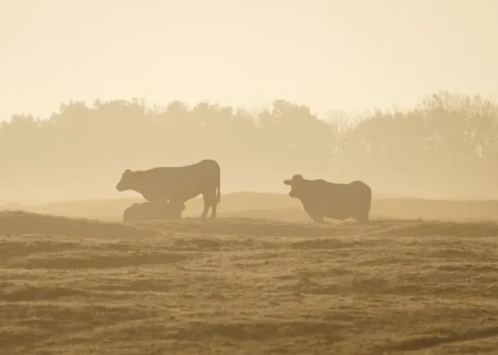 Coastal Bries Dom wakacyjny *